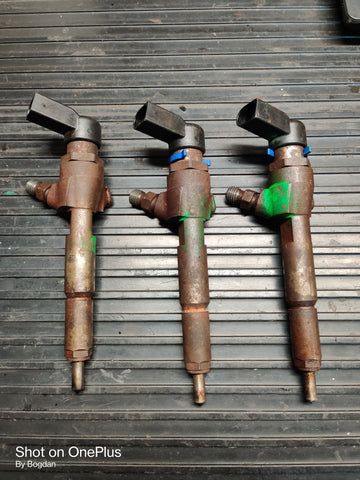 Injector Continental pentru Ford Transit Connect 1.8 TDCI